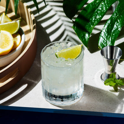 japan gin tonic