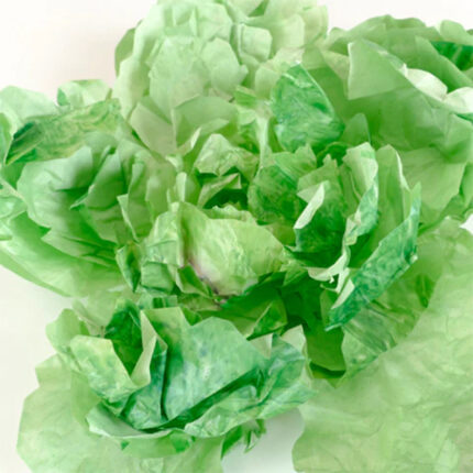生菜便條紙